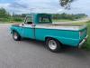 1966 Ford F-100