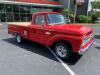 1966 Ford F-100