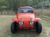 1977 Volkswagen Beetle - Classic