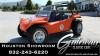 1973 Volkswagen Dune Buggy