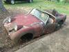 1960 Austin Healey Sprite