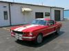 1965 Ford Mustang / Shelby GT350