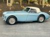 1954 Austin Healey 100-4 BN1