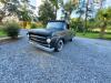 1957 Ford F100