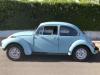 1971 Volkswagen Beetle (Pre-1980)