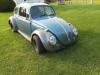 1966 Volkswagen Beetle - Classic