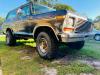 1979 Ford Bronco