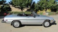 1978 Alfa Romeo Spider