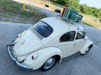 1960 Volkswagen Beetle - Classic