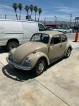 1969 Volkswagen Beetle - Classic