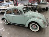 1965 Volkswagen Beetle - Classic