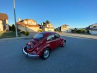 1972 Volkswagen Beetle - Classic