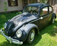 1964 Volkswagen Beetle - Classic