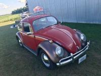 1966 Volkswagen Beetle - Classic