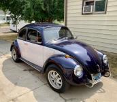 1969 Volkswagen Beetle - Classic